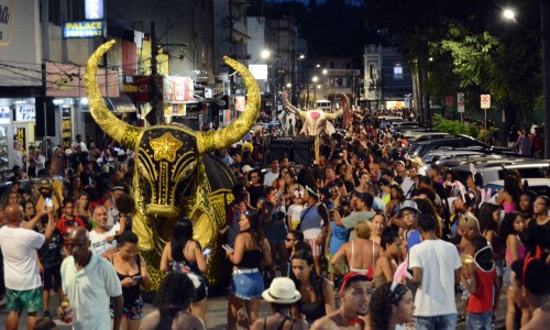 Carnaval 2025: BM terá uma programação repleta de atrações em cinco dias de festa